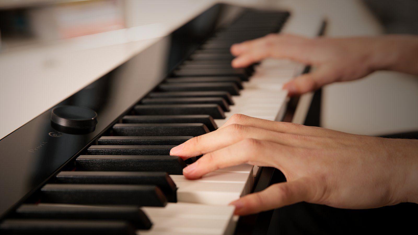 Casio PX-S1000 - Portable Piano